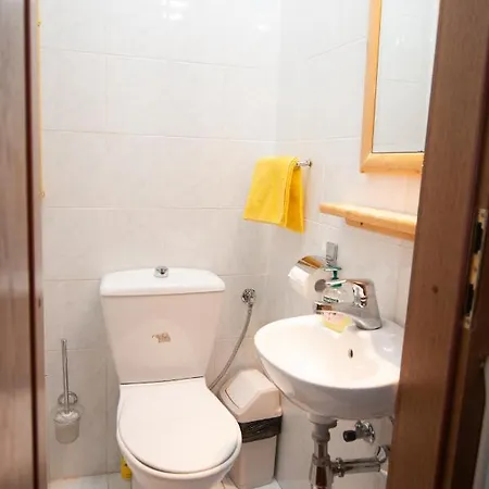 Guest house Korosec 3*